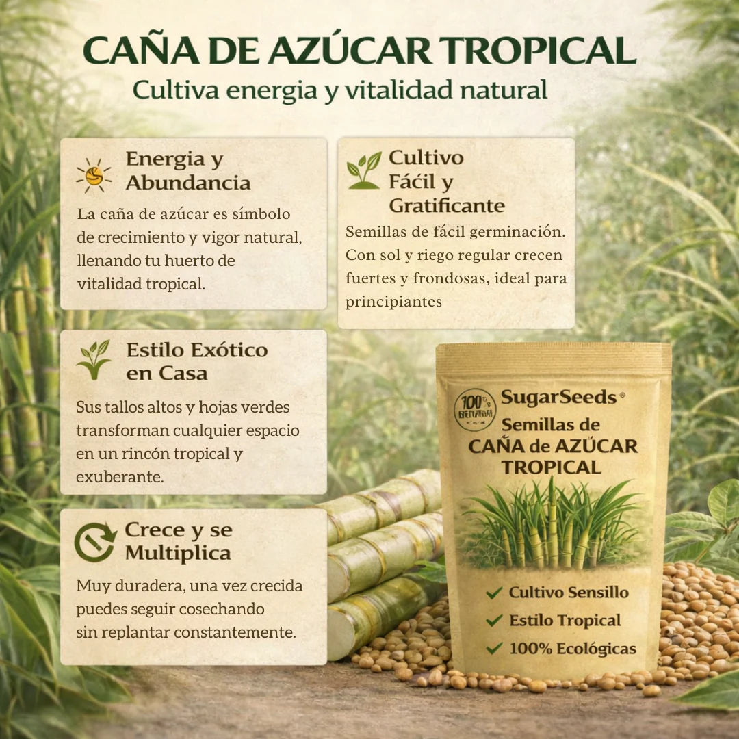 SugarSeeds: Semillas de Caña de Azúcar Tropical