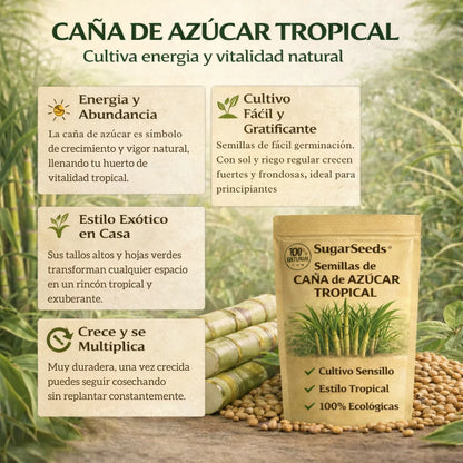 SugarSeeds: Semillas de Caña de Azúcar Tropical