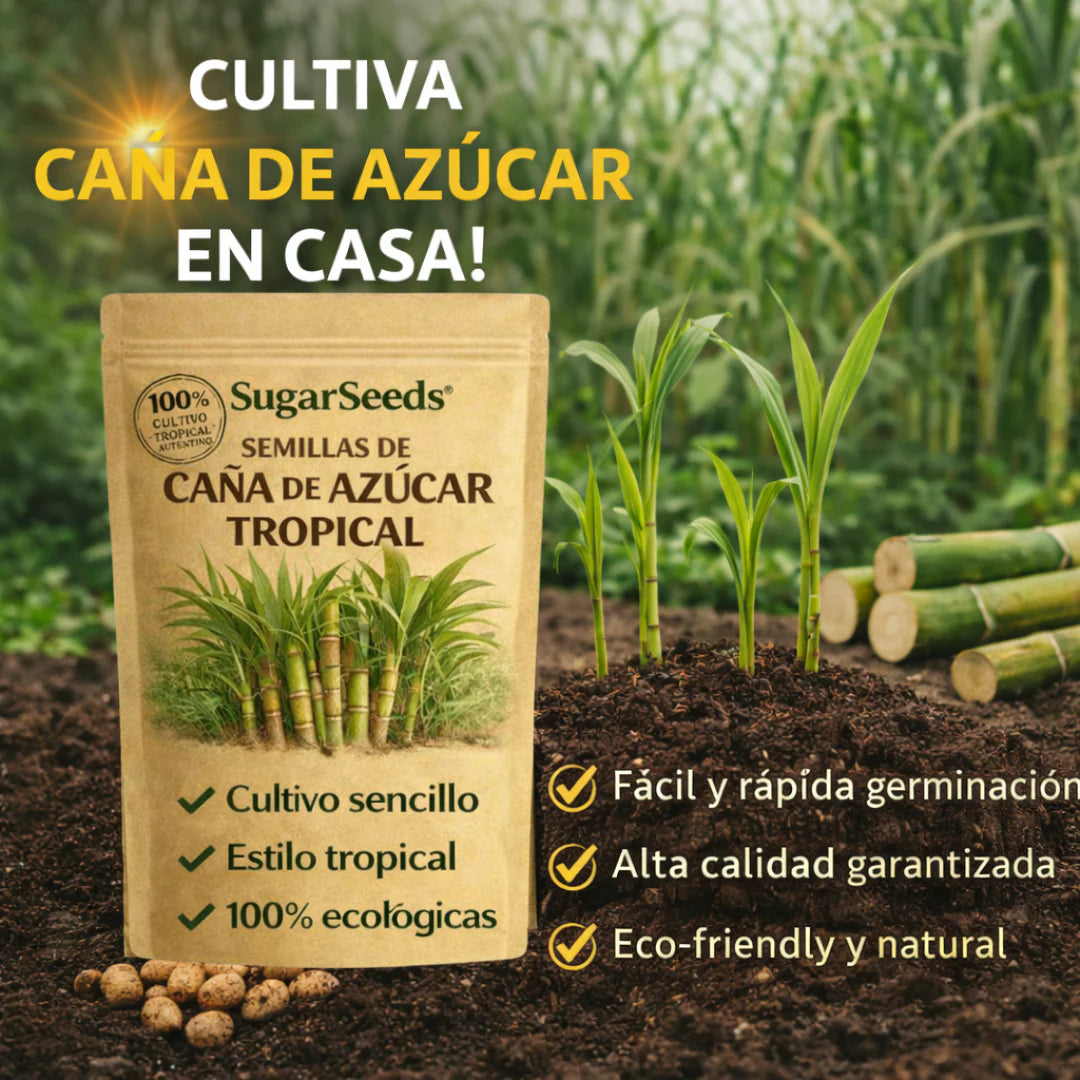 SugarSeeds: Semillas de Caña de Azúcar Tropical