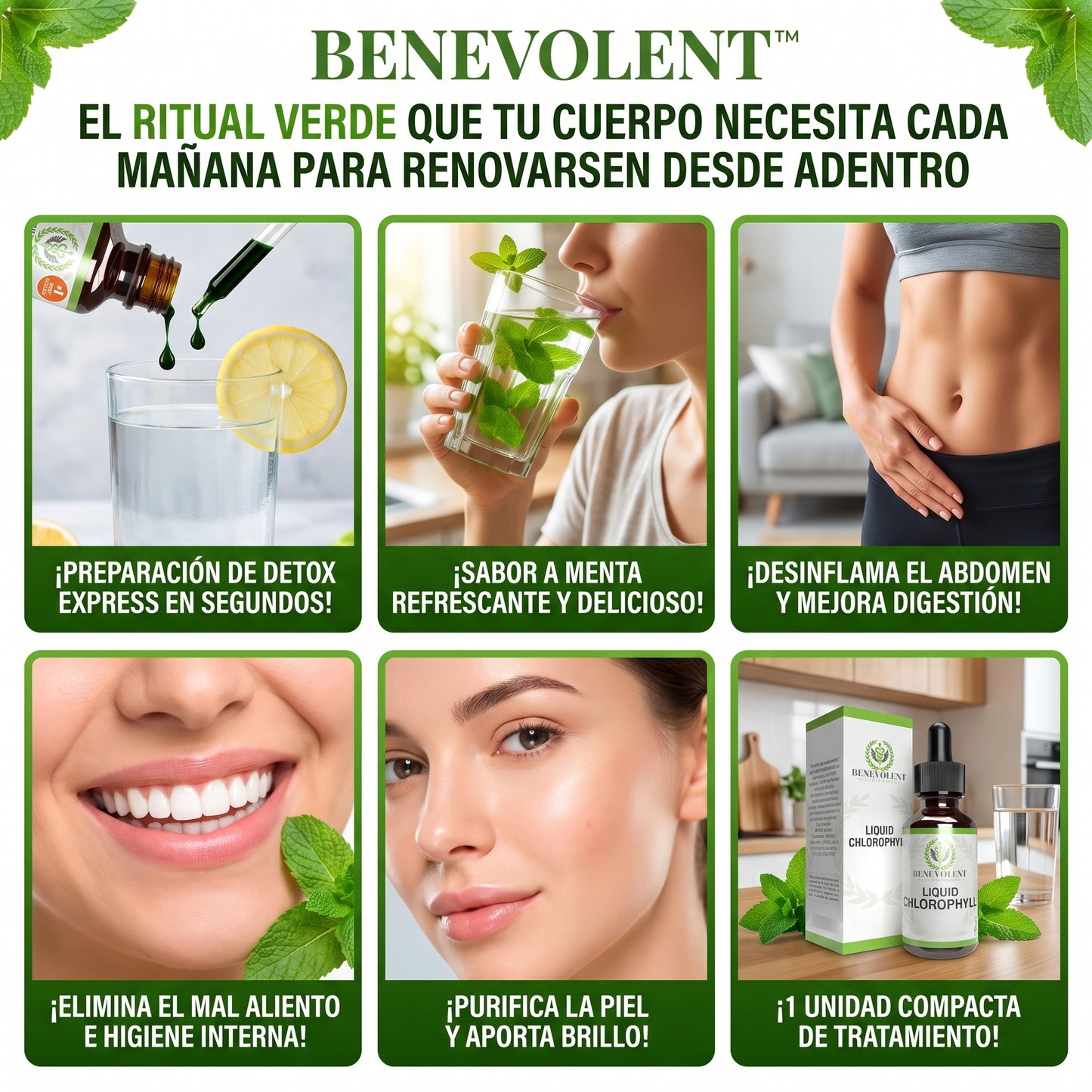 Benevolent Nourishment™ Clorofila Líquida Natural Vegana