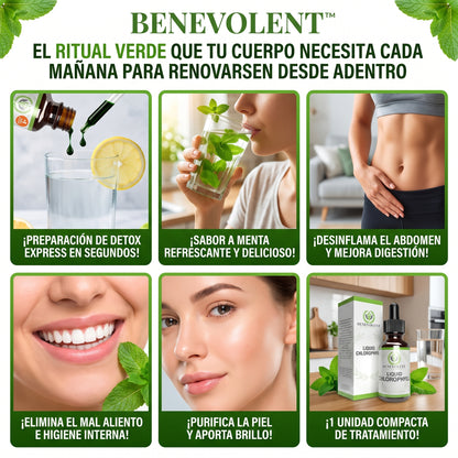 Benevolent Nourishment™ Clorofila Líquida Natural Vegana