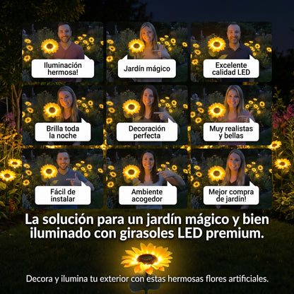 Luz Girasol Premium™