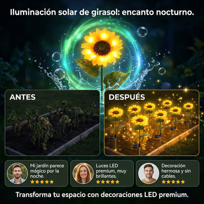 Luz Girasol Premium™