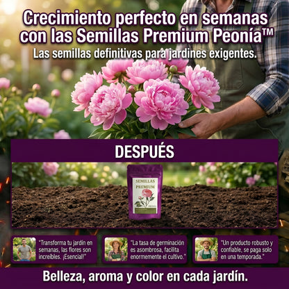 Semillas PREMIUM de Peonias