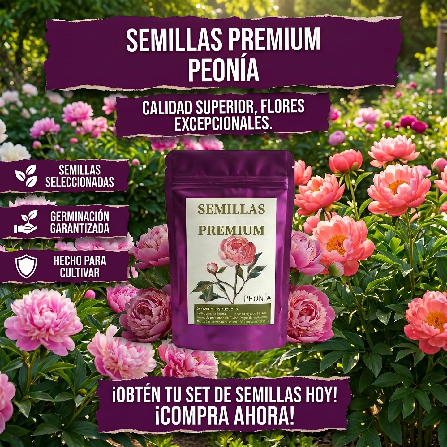 Semillas PREMIUM de Peonias