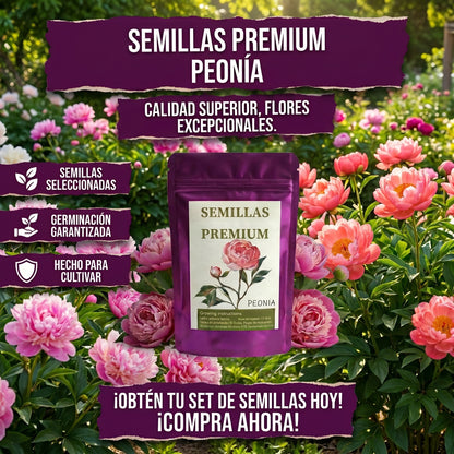 Semillas PREMIUM de Peonias