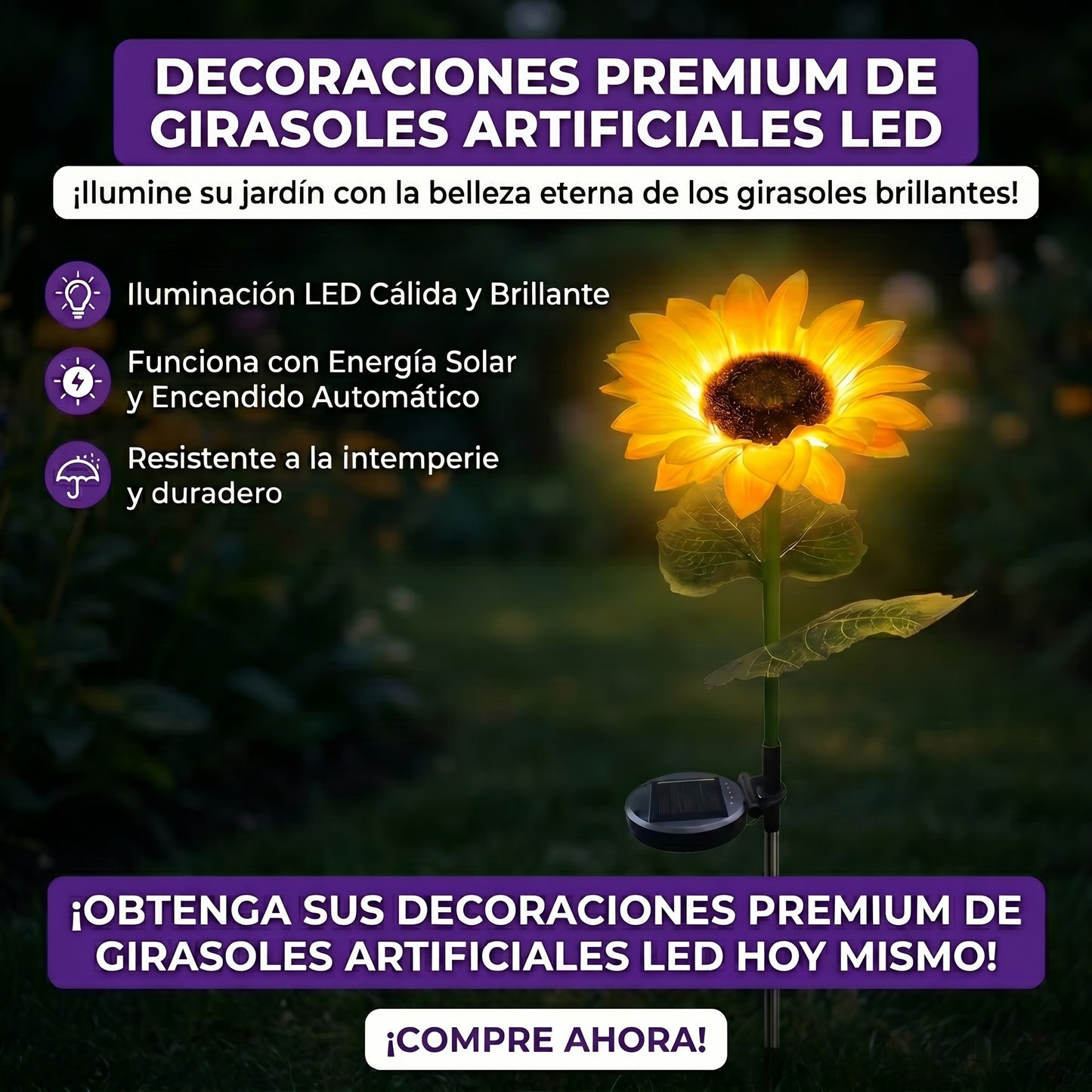 Luz Girasol Premium™