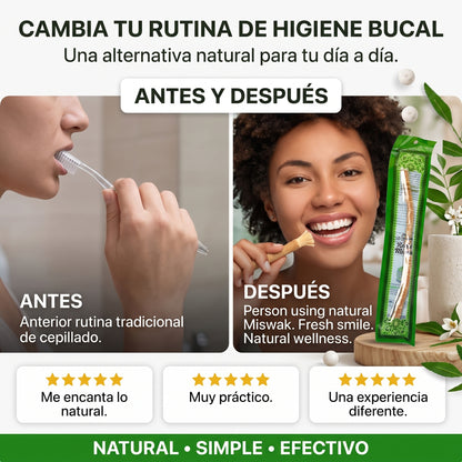 Miswak Natural™ Pack x3 cepillo dental natural tradicional