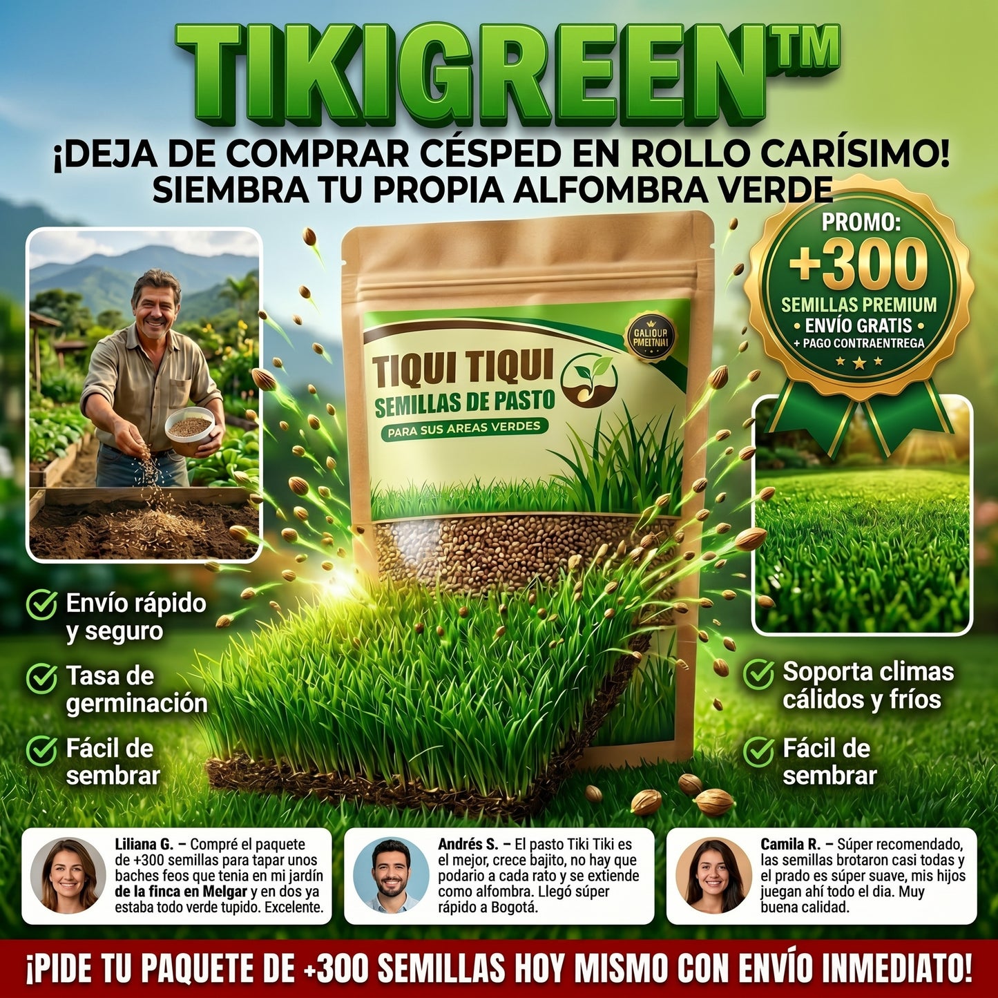 Semillas PREMIUM TikiGreen De Pasto Tipo Tiki Tiki