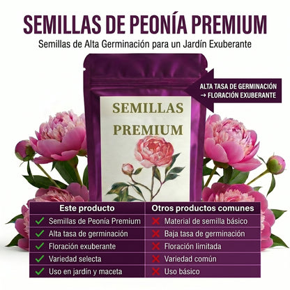 Semillas PREMIUM de Peonias